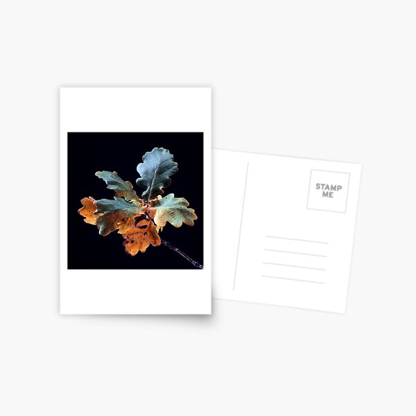 Item preview, Autumnal Oak Leaves designed and sold by Paul Rumsey.