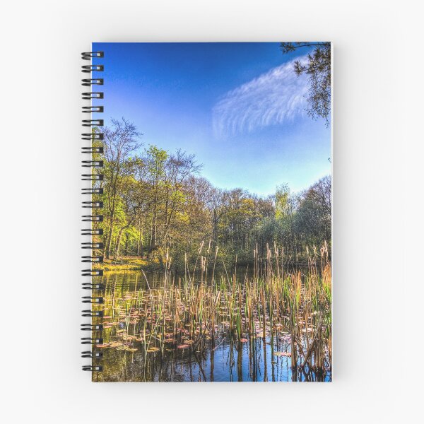 Item preview, The Bulrush Pond designed and sold by Londonimages.