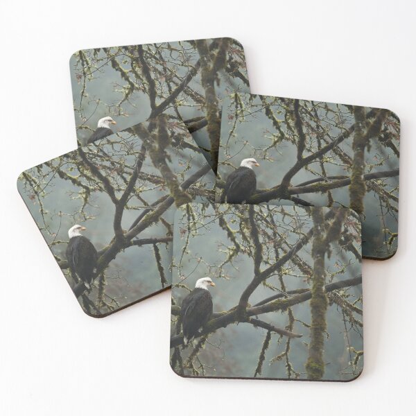 Item preview, Eagle in the rainforest designed and sold by Alan Klughammer.