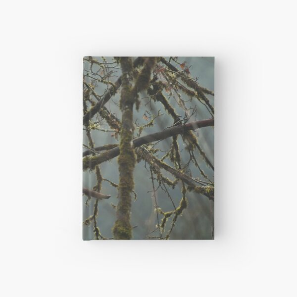 Eagle in the rainforest Hardcover Journal