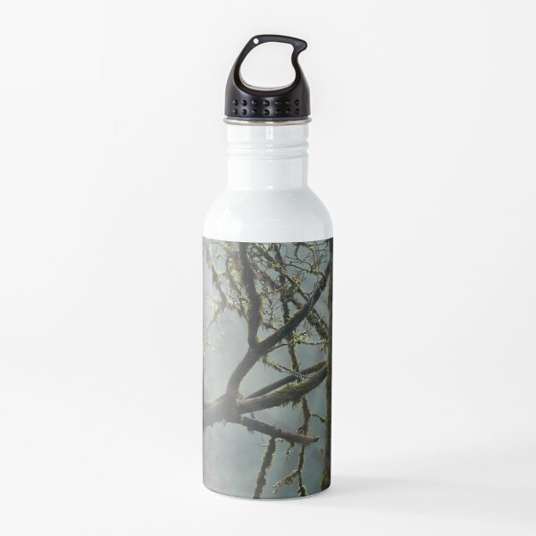 Eagle in the rainforest Water Bottle
