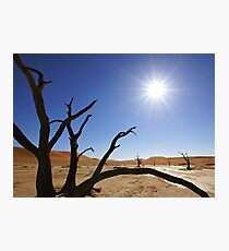 Deadvlei Photographic Print