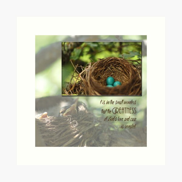 Item preview, Small Wonders designed and sold by back40fotos.