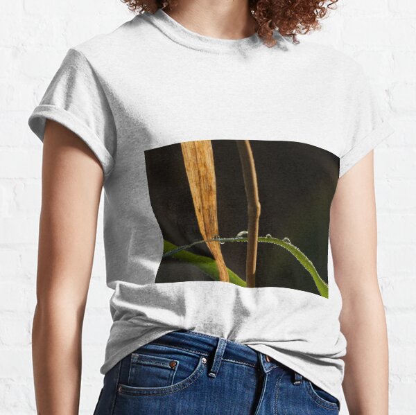 close up image of grass and dew Classic T-Shirt