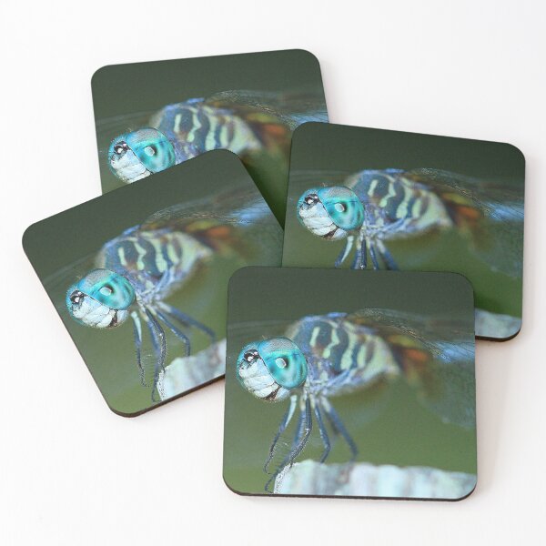 Item preview, Dragonfly Up Close and Personal designed and sold by Brenda Burnett.
