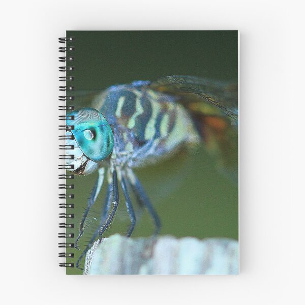 Item preview, Dragonfly Up Close and Personal designed and sold by Brenda Burnett.