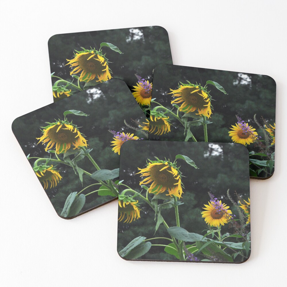 Item preview, Coasters (Set of 4) designed and sold by Ratsrule67.