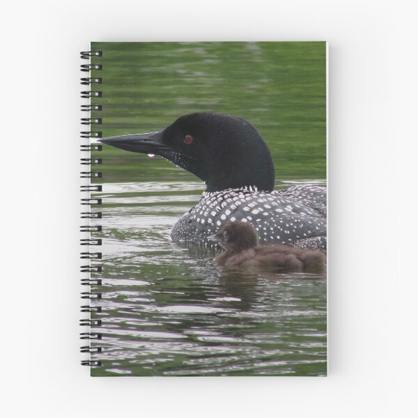 Item preview, Loons designed and sold by Janet Gosselin.
