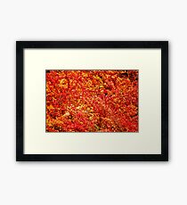 Colours Framed Print