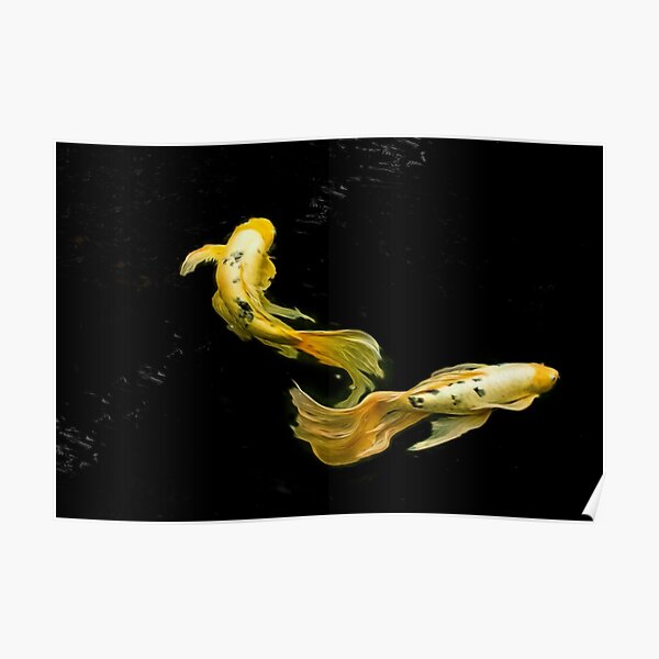 Divergence Poster