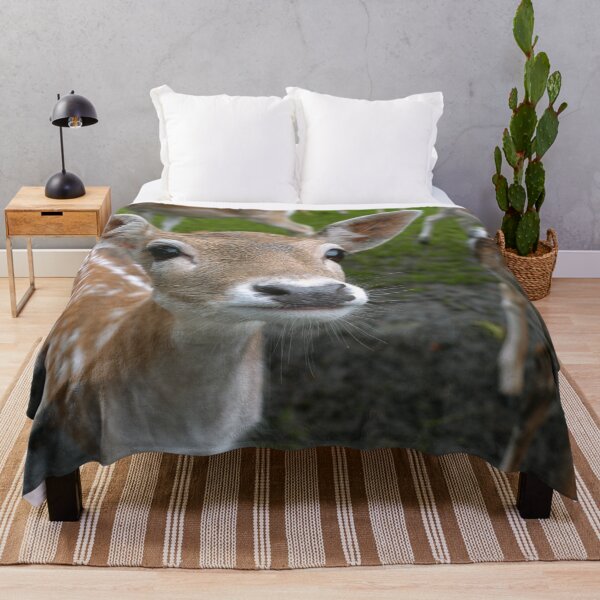 Item preview, Curious Deer designed and sold by Roseferngr.