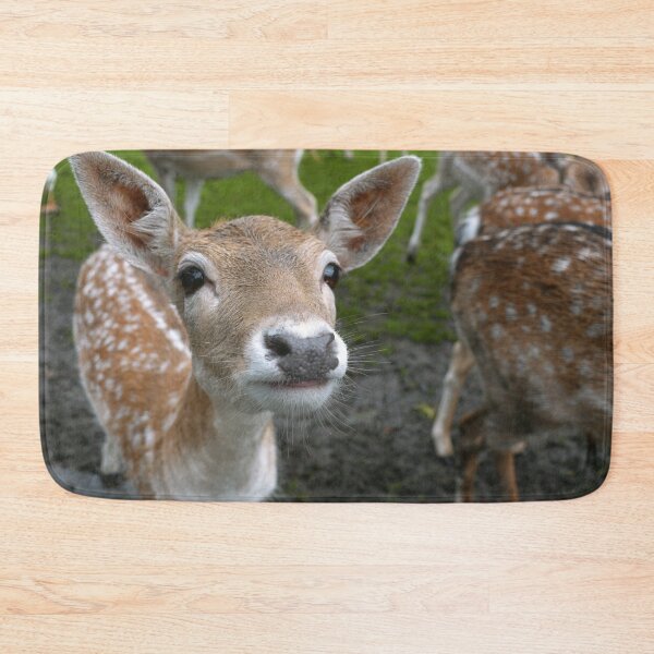 Item preview, Curious Deer designed and sold by Roseferngr.