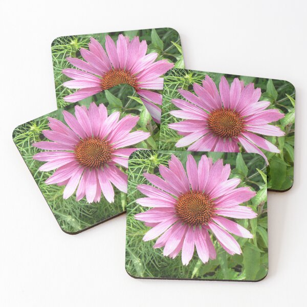 Item preview, Botanic Image 010 designed and sold by DRS-Edinburgh.