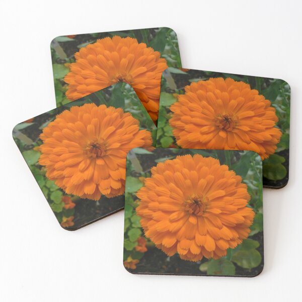 Item preview, Botanic Image 012 designed and sold by DRS-Edinburgh.