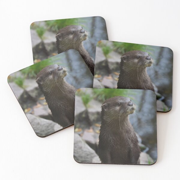 Item preview, Otter Closeup designed and sold by Roseferngr.