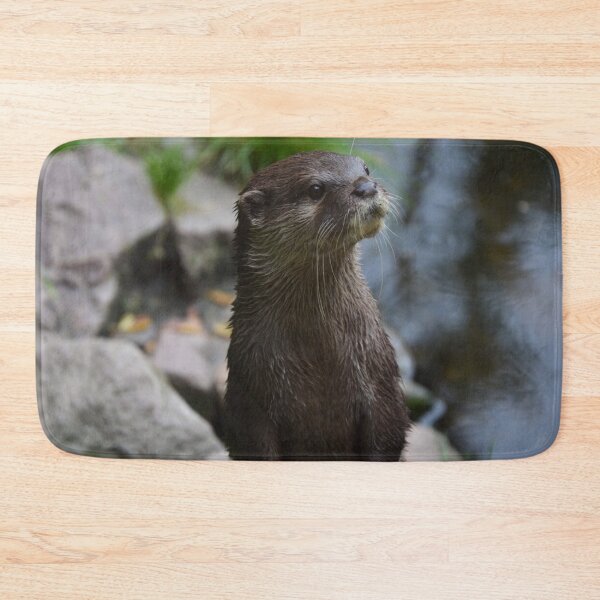 Item preview, Otter Closeup designed and sold by Roseferngr.