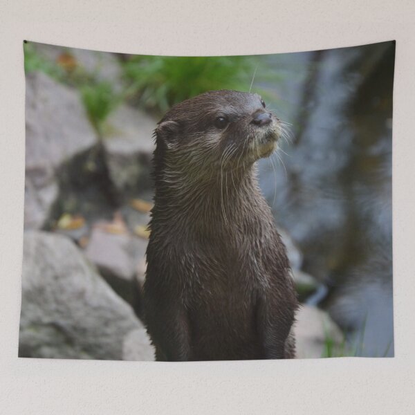 Item preview, Otter Closeup designed and sold by Roseferngr.