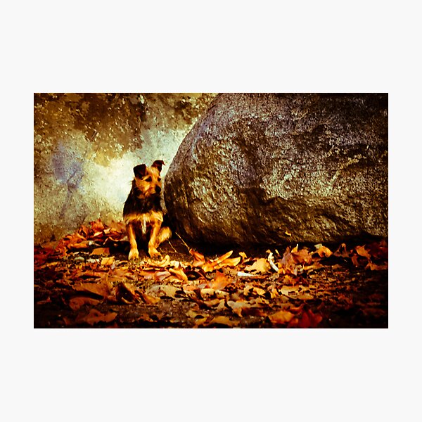 Left Behind Photographic Print