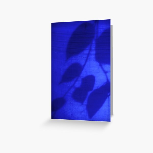 Aperçu de l'œuvre  Le Maroc en février 2011.

Les jardins ont été créés à la fin des années 40 par le peintre français Jacques Majorelle créée et vendue par Natalie Broome.