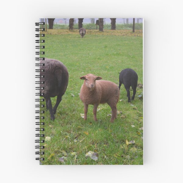 Item preview, Sheep Family designed and sold by Roseferngr.