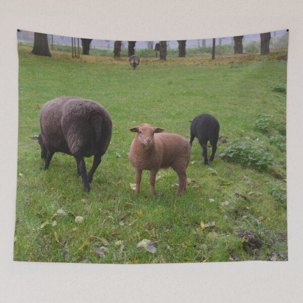 Item preview, Sheep Family designed and sold by Roseferngr.