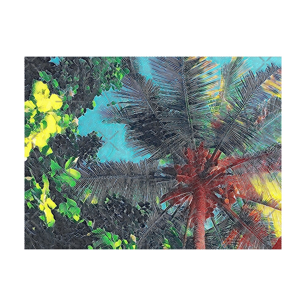 Throw Pillow