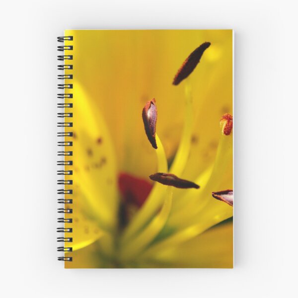 Item preview, Summer Lily designed and sold by Natalie Broome.