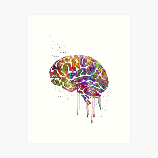 Item preview, Brain anatomy, medical art, watercolor Brain designed and sold by Rosaliartbook.