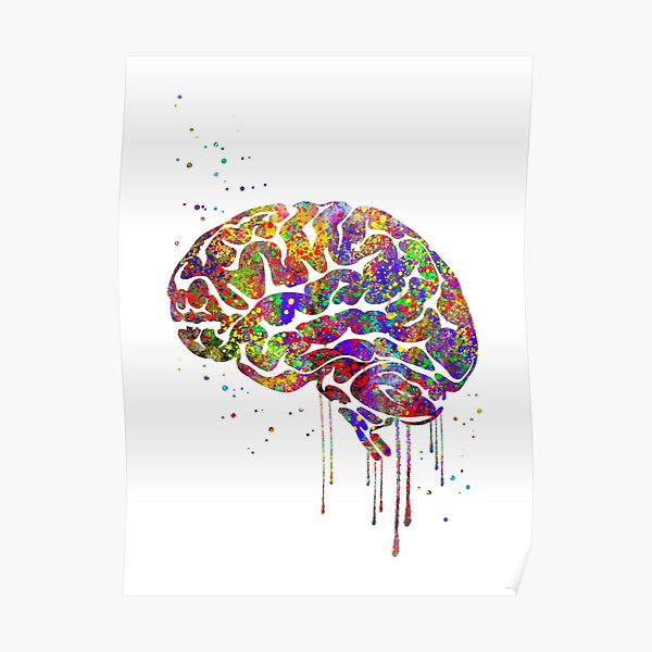 Anatomie du cerveau, art médical, aquarelle Cerveau Poster