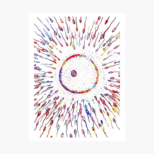 Item preview, Sperms and eggs, sperms and egg cell designed and sold by Rosaliartbook.