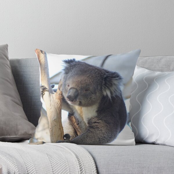 Item preview, Koala designed and sold by Steve9.