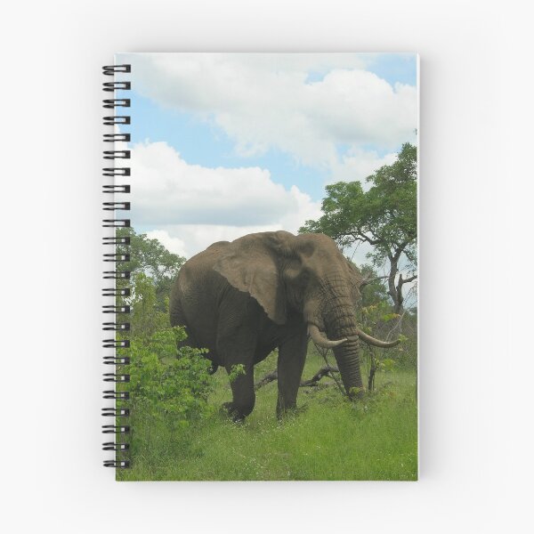 Item preview, Kruger Elephant designed and sold by Natalie Broome.