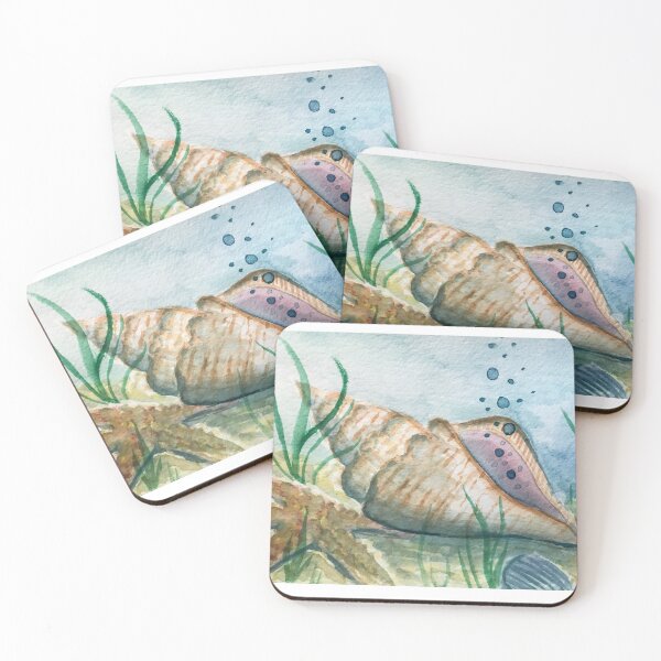 Item preview, Conch shell and starfish designed and sold by stmstudios.