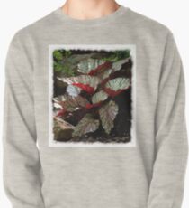 Hidden Red Begonias Sweatshirt