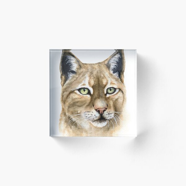 Watercolor Lynx Acrylic Block
