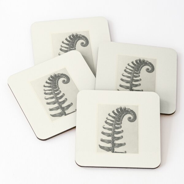 Item preview, Fern Frond designed and sold by BlueSpecsStudio.