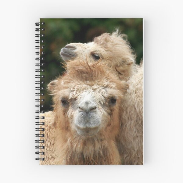 Item preview, Love you Mom - Bactrian Camel with Baby designed and sold by Jo Nijenhuis.