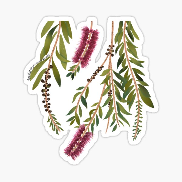 Item preview, Australian Native Flora, Bottlebrush designed and sold by zoltrondesigns.