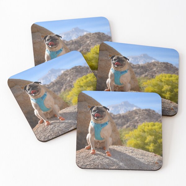 Item preview, Fall Foliage with Flat Faced Pug designed and sold by pugventurephoto.