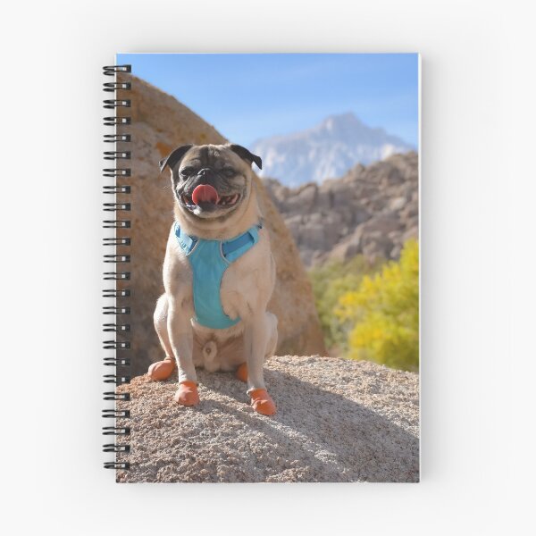 Item preview, Fall Foliage with Flat Faced Pug designed and sold by pugventurephoto.