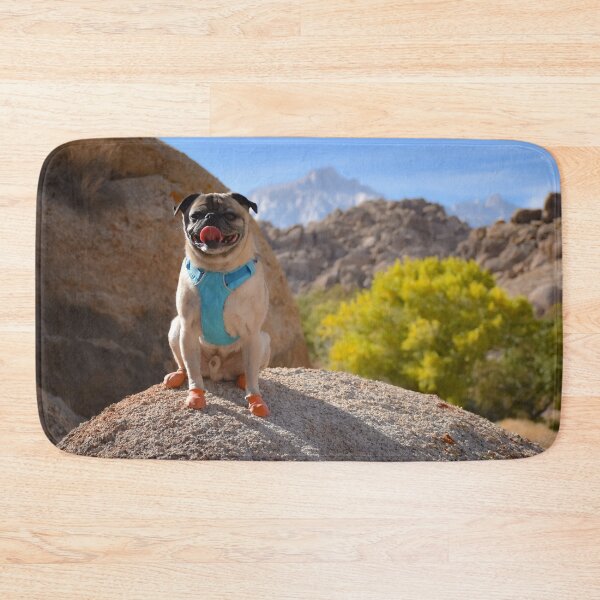 Item preview, Fall Foliage with Flat Faced Pug designed and sold by pugventurephoto.