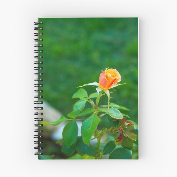 Item preview, Soft little Rose Bud... designed and sold by mitpjenkeating.