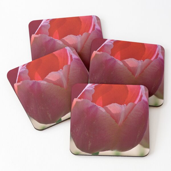 Item preview, Tulipán 8 designed and sold by Martha Johnson.