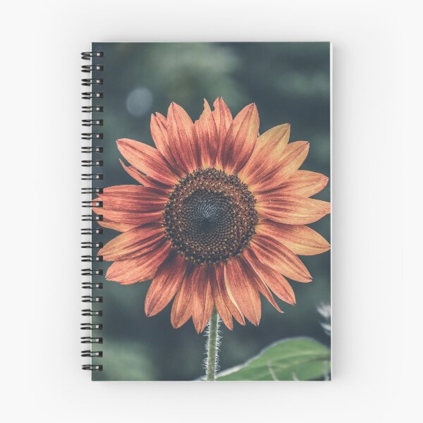 Item preview, Hermoso girasol Photograhy con fondo borroso designed and sold by scottstpierre.
