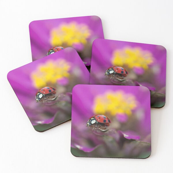 Item preview, Lady Bug Beauty designed and sold by Brenda Burnett.