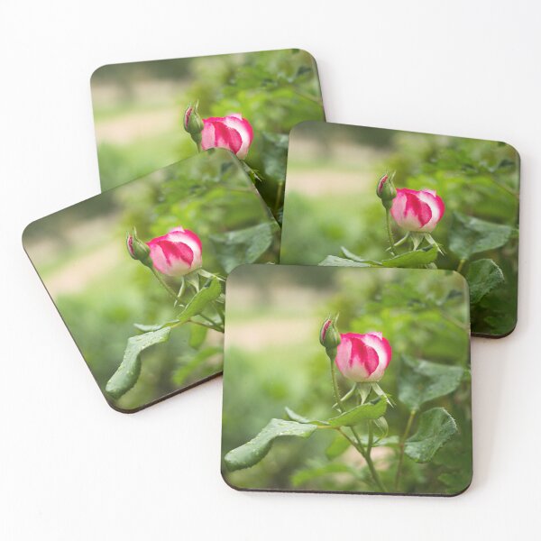 Item preview, Rose Buds..... designed and sold by mitpjenkeating.