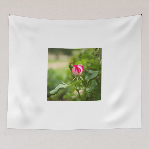 Item preview, Rose Buds..... designed and sold by mitpjenkeating.