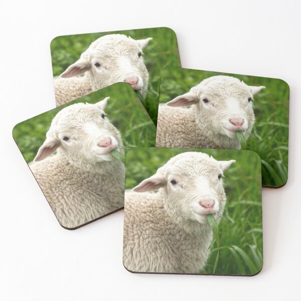 Item preview, Yummy Yummy ...grass in my tummy... designed and sold by mitpjenkeating.