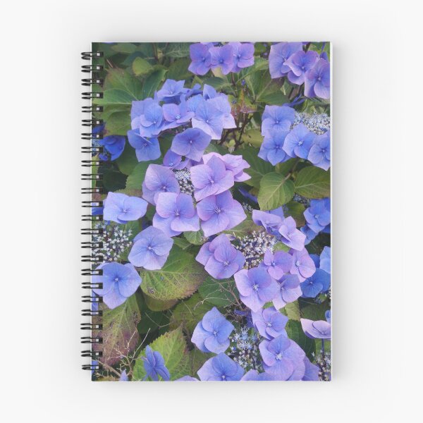 Aperçu de l'œuvre Floraison d'hortensia bleu créée et vendue par LittleBettyMakes.