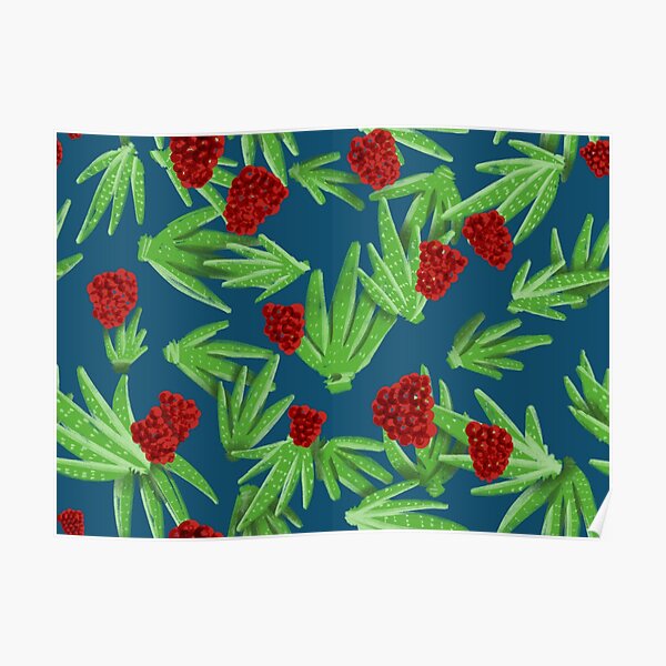 Aloe & Rasberries Poster